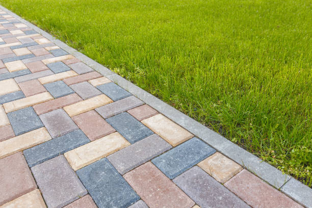 Best Decorative Driveway Pavers  in Seville, FL